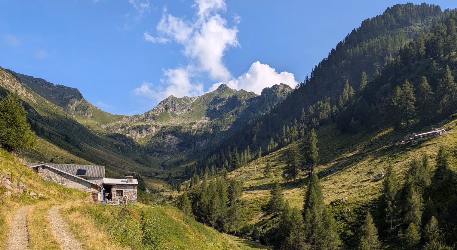 A view of Val Bomino, one of the Bitto valleys.