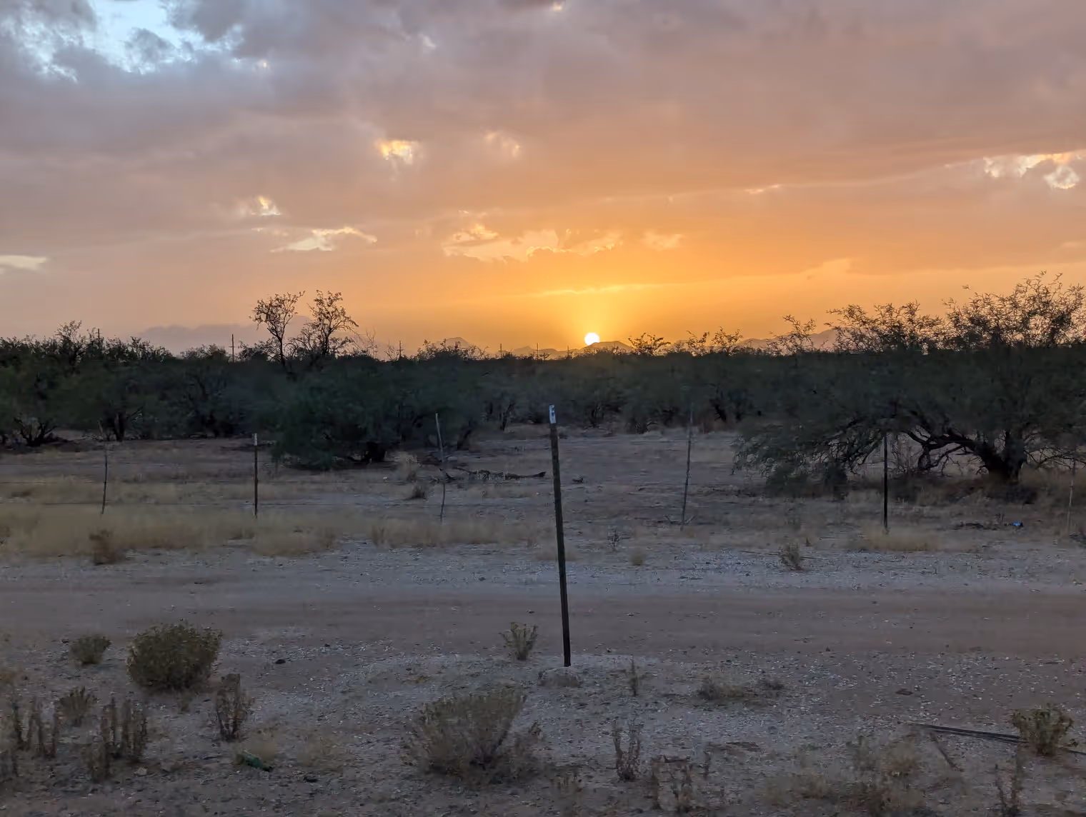 Tramonto sul deserto.