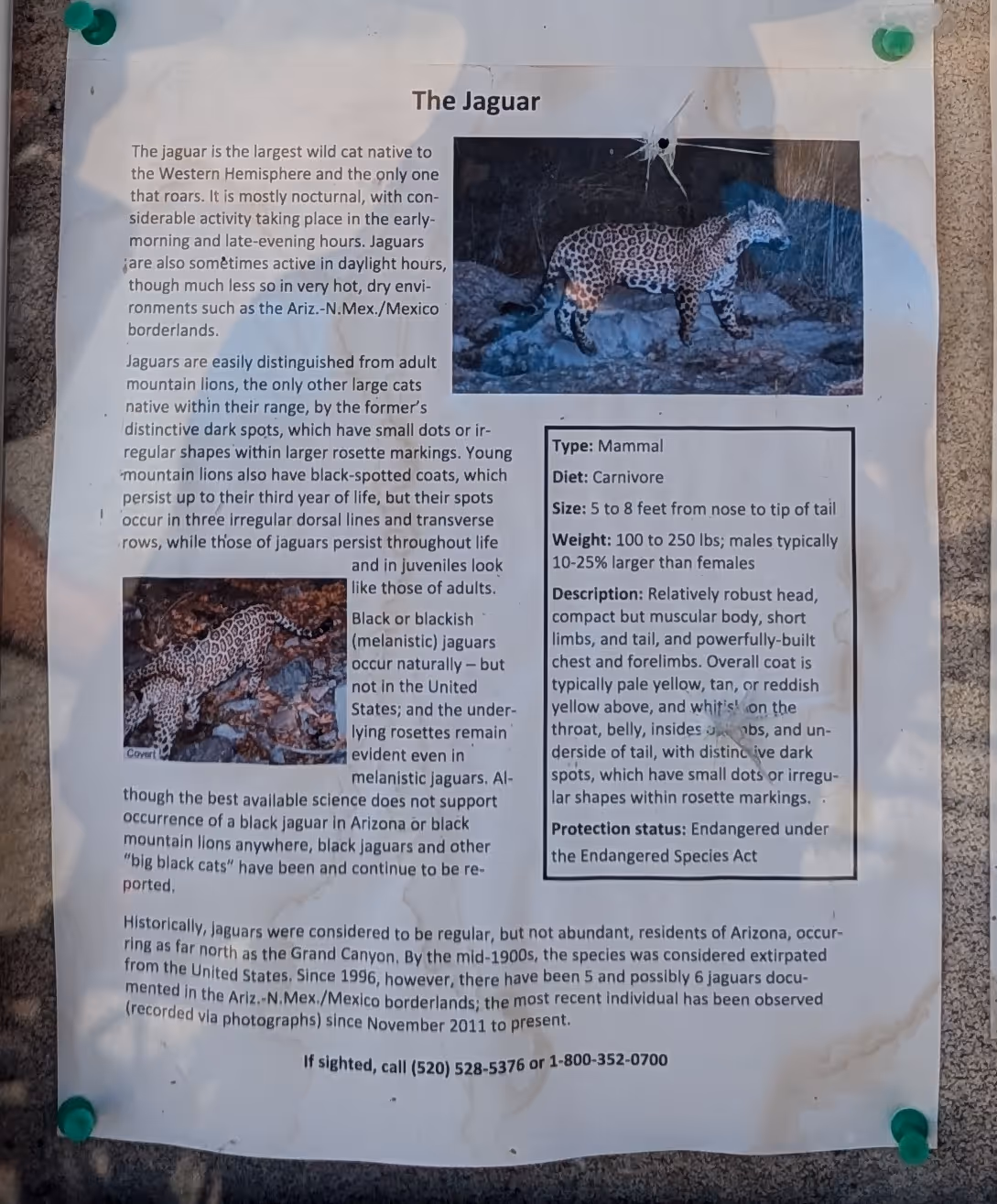 Foglio informativo sulla fauna della riserva.