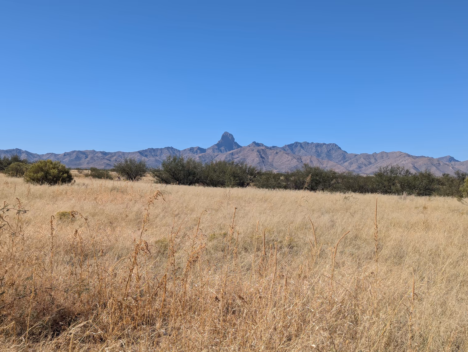 Panorama dalla strada.