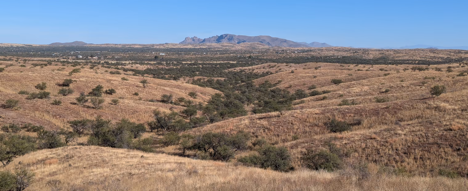 Panorama dalla Ruby Road.