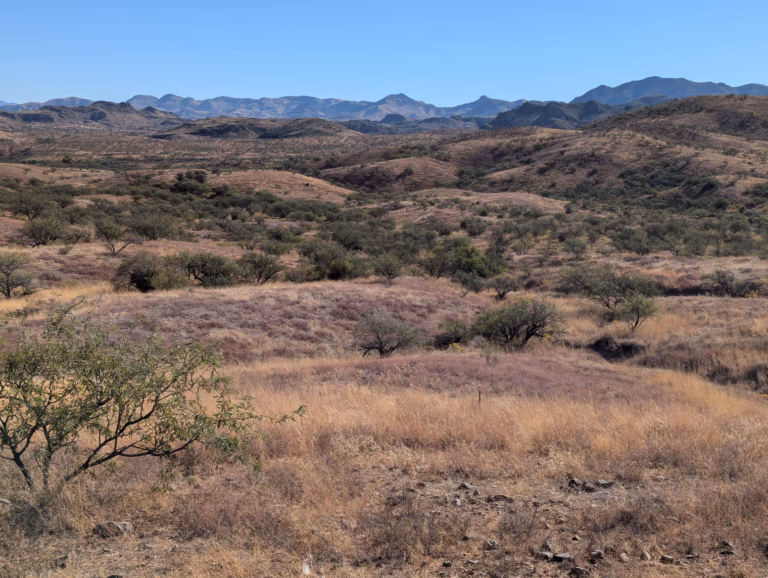 Panorama dalla Ruby Road.