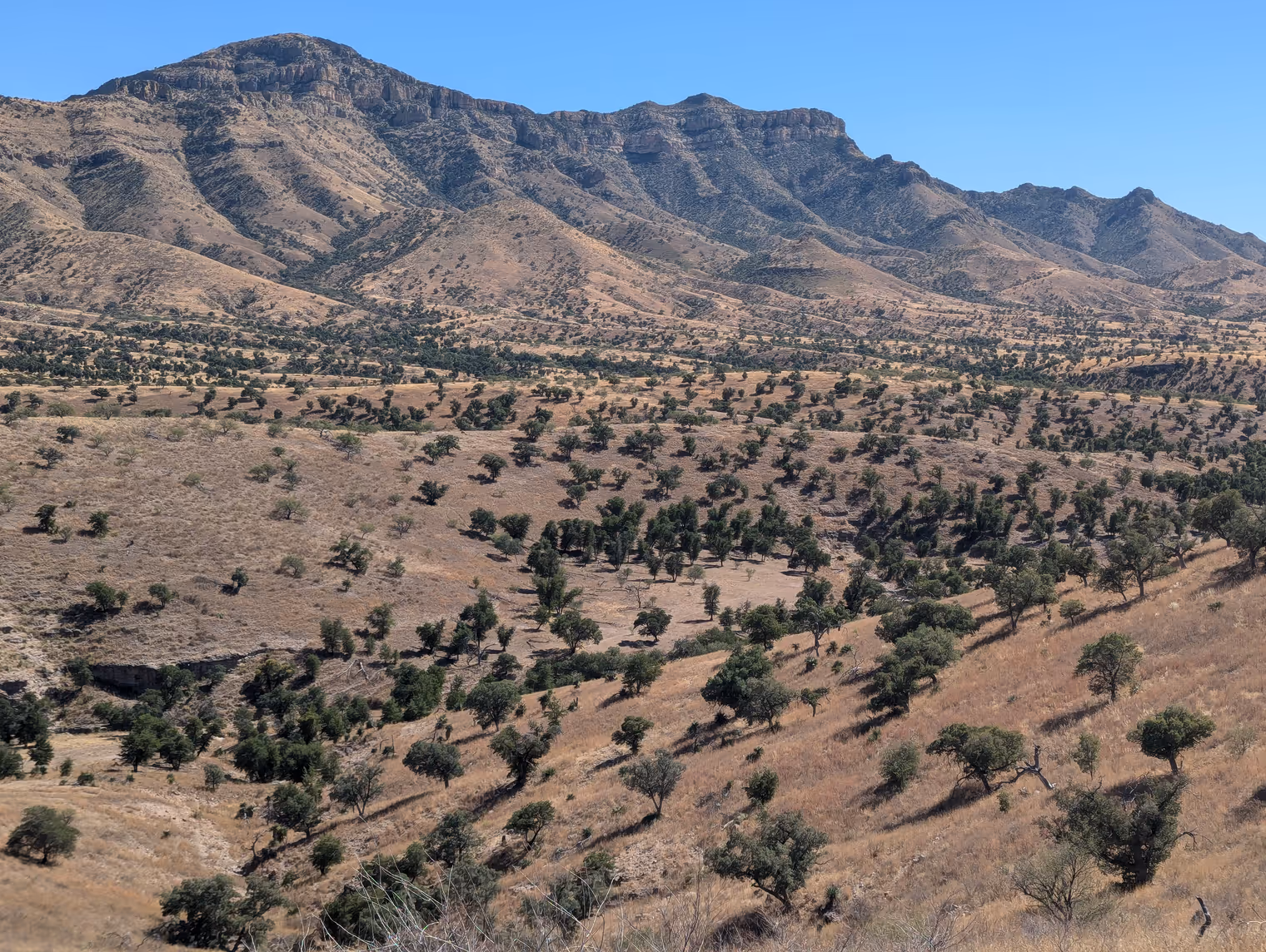 Panorama dalla Ruby Road.