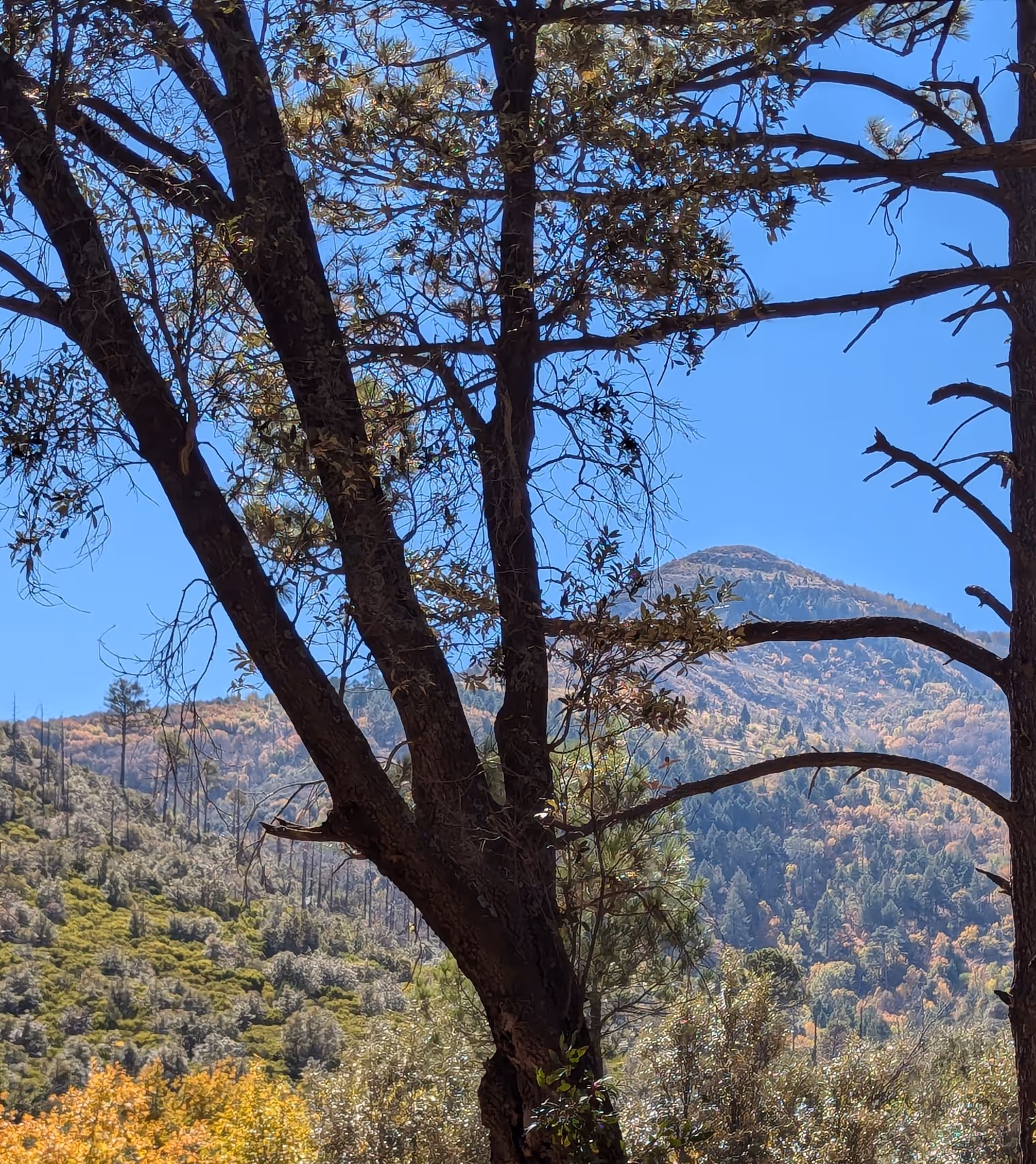 Carr Peak.