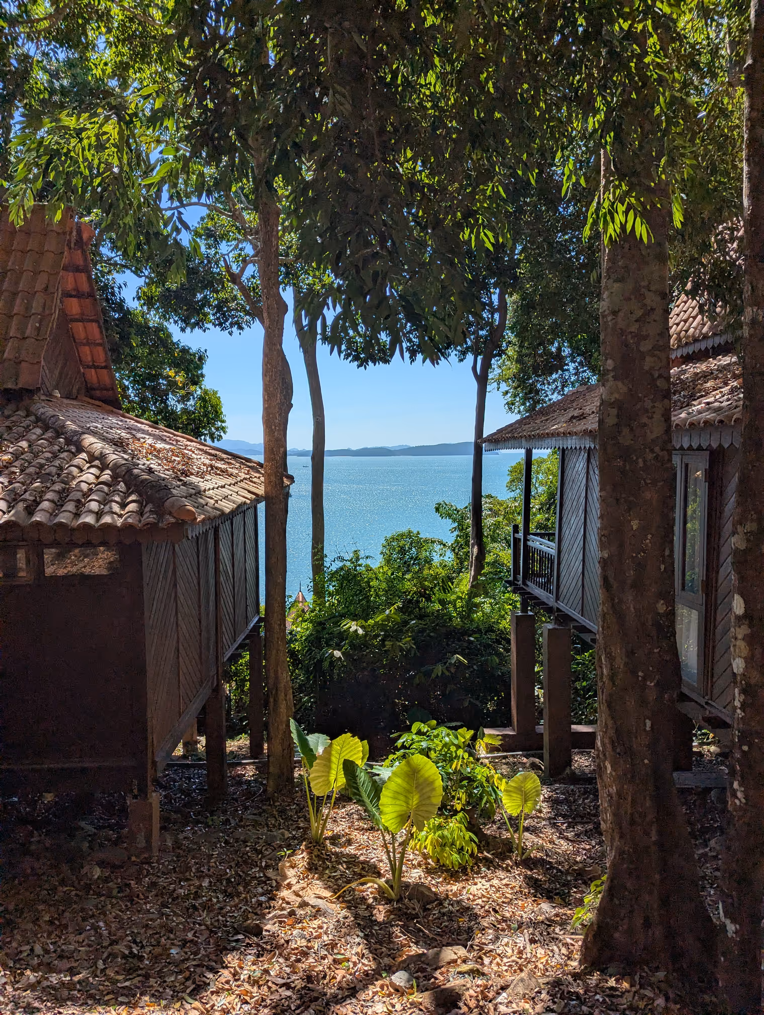 Chalet nella foresta.