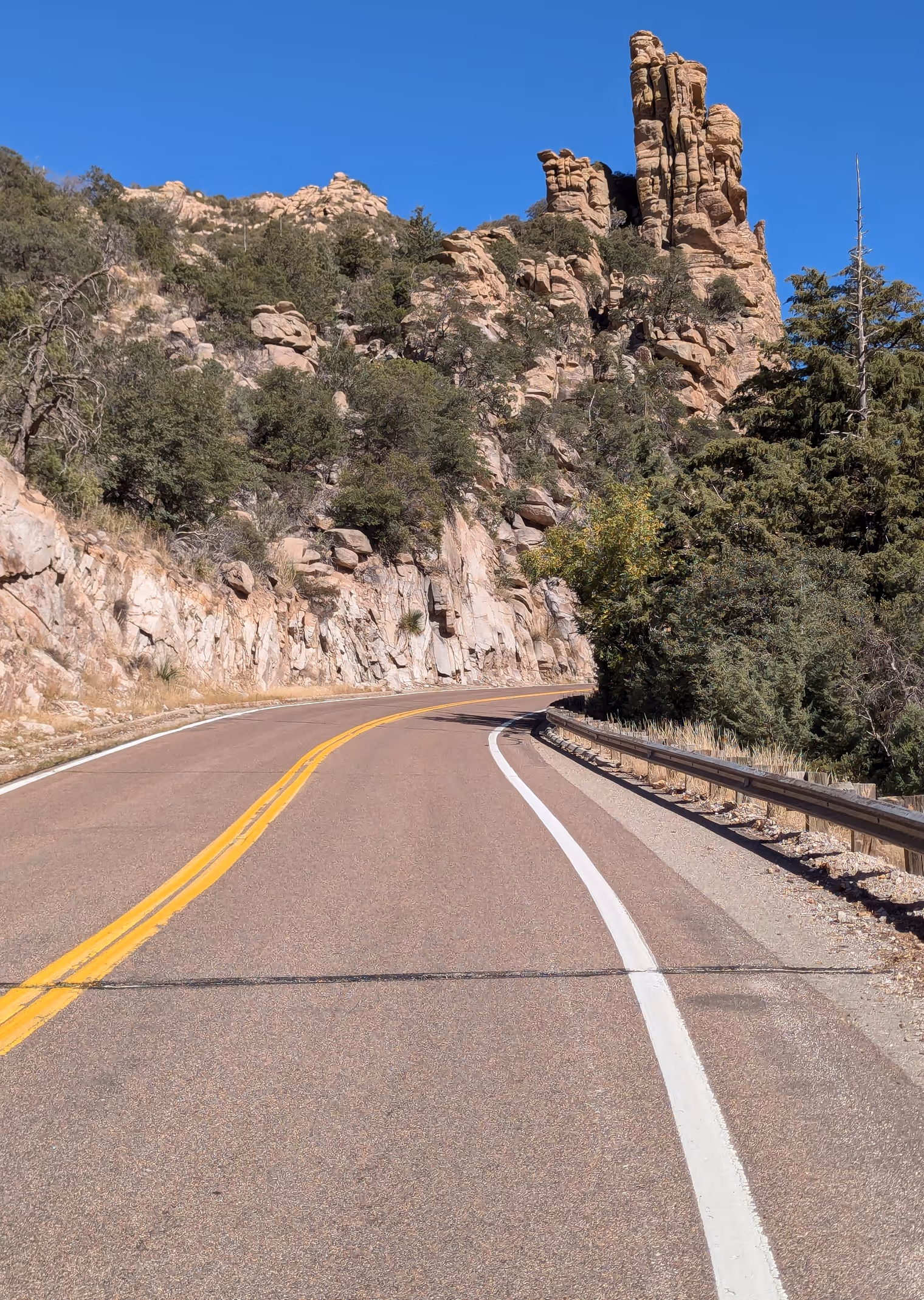 Strada per Mount Lemmon.